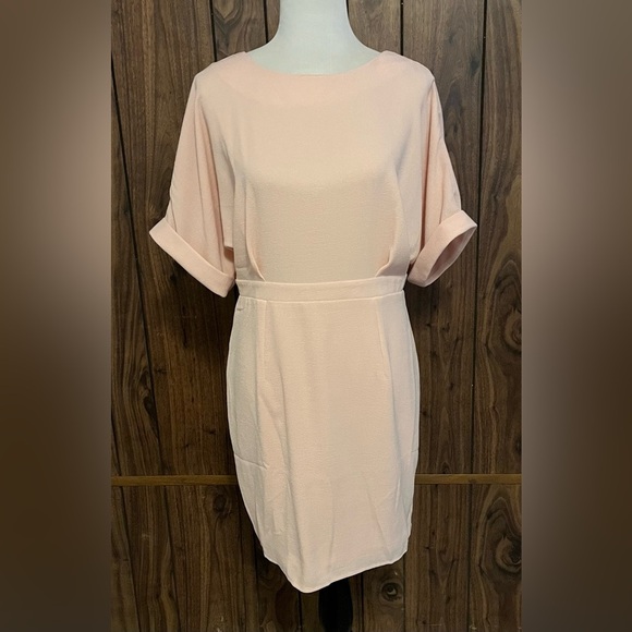 ASOS Womens Blush Pink  Knee Length Dolman Short Sleeve Lined Dress Sz 8 - Picture 1 of 7